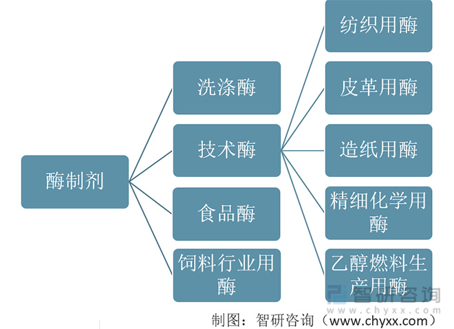 酶制剂行业发展动态分析：受益于国家对安全环保、食品安全逐步重视欧宝app